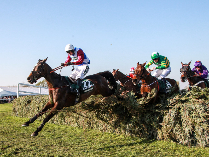 Equine Sports