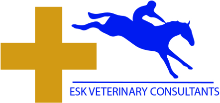 ESK Logo