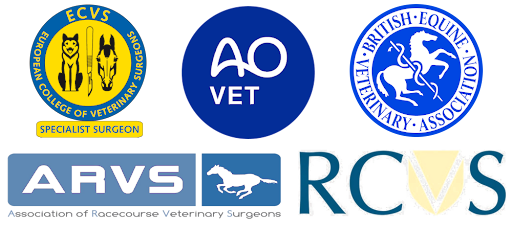Professional Certifications